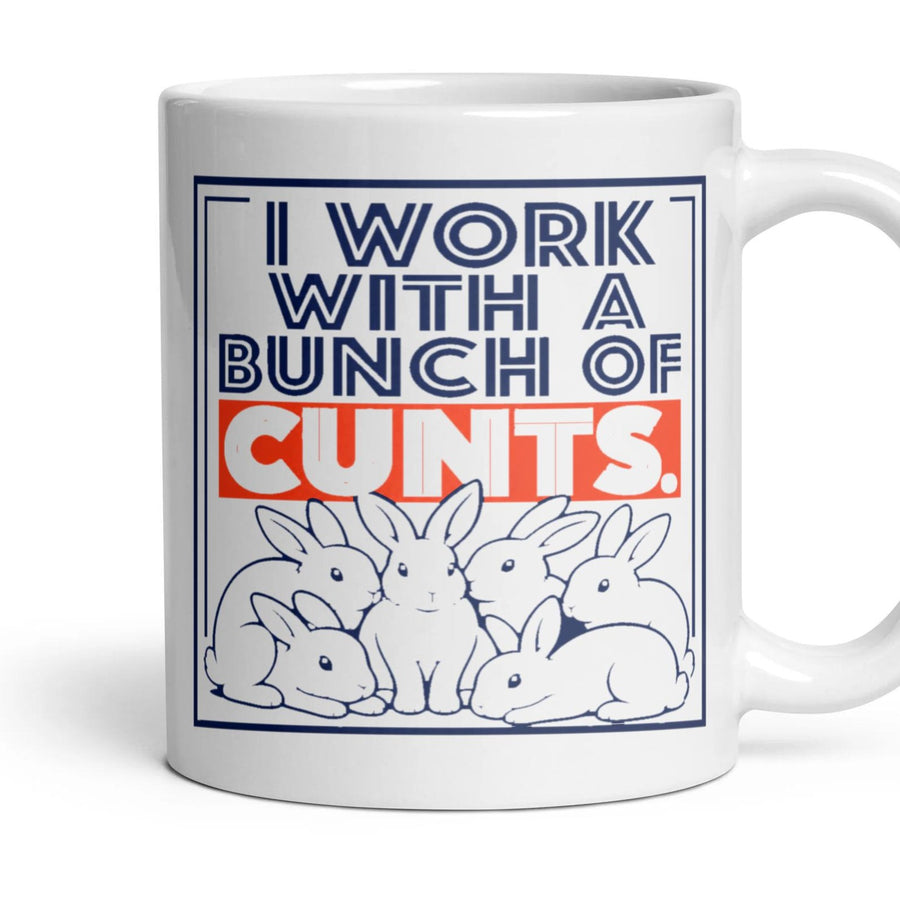 I WORK WITH A BUNCH OF CUNTS. mug, 11oz white ceramic, handle right